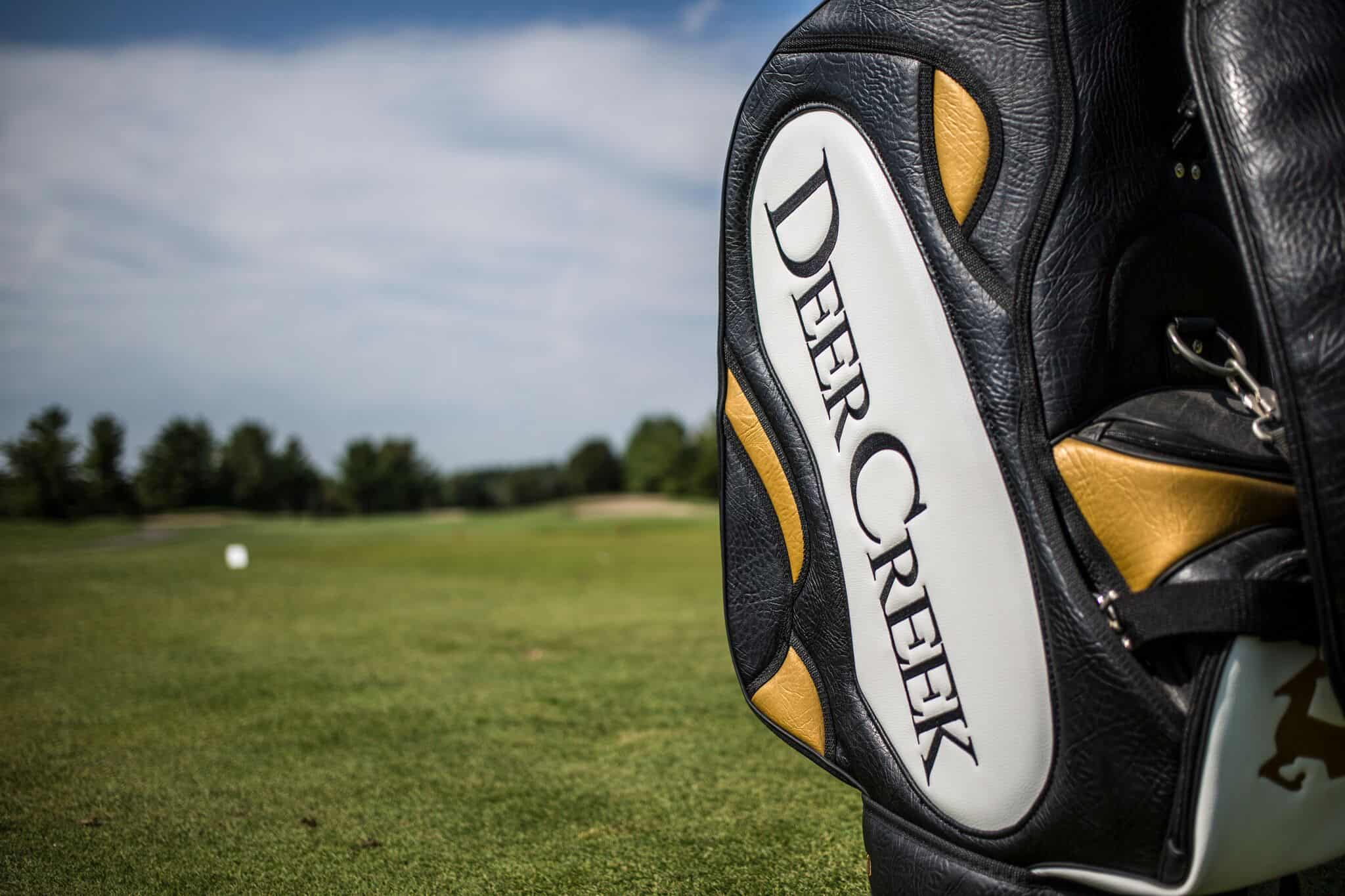 10 Golf Bag - Sanker Media_preview